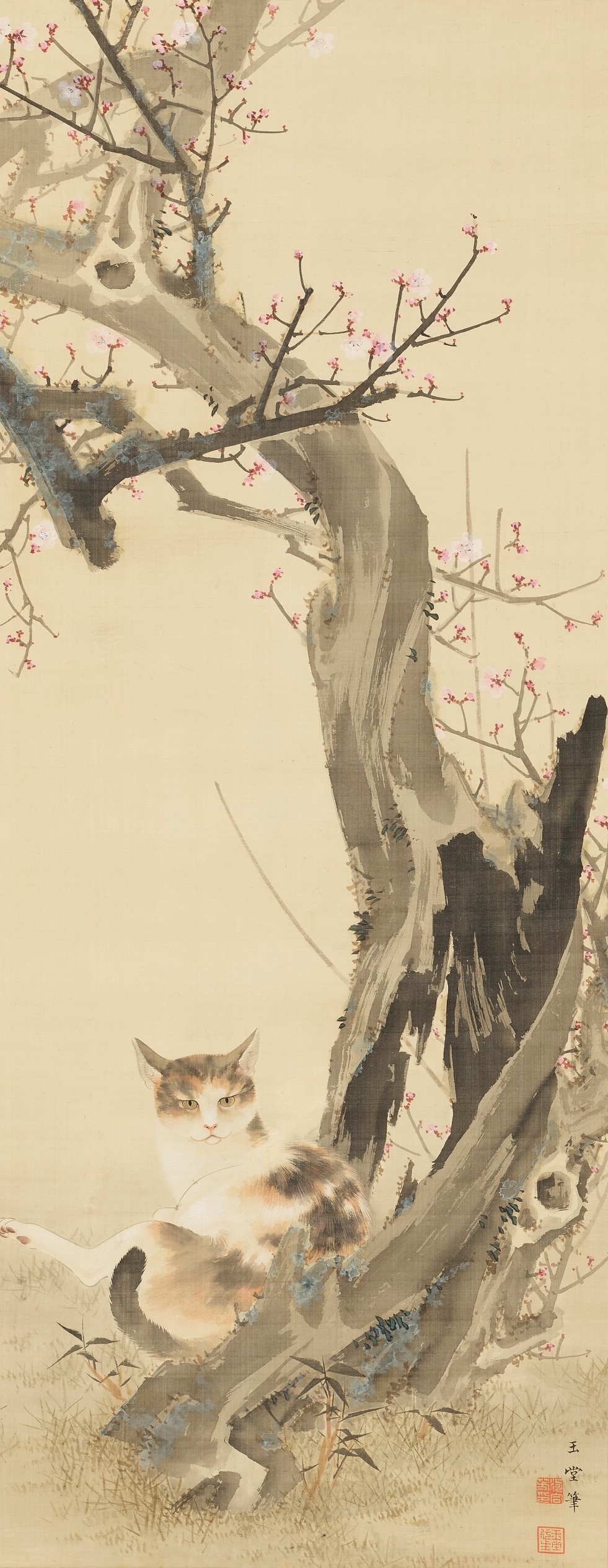 ◇終了◇トラ時々ネコ 干支セトラ | 京都新聞アート＆イベント情報