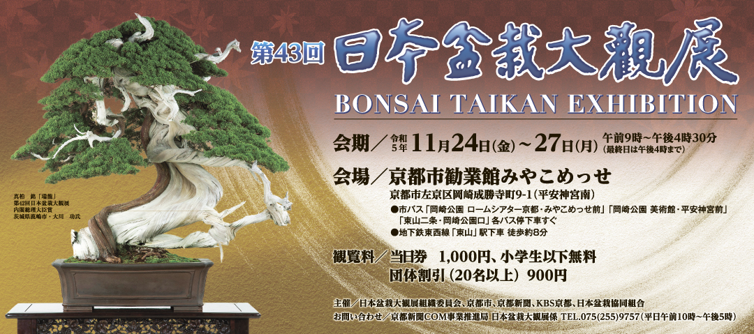 第43回日本盆栽大観展 | 京都新聞アート＆イベント情報サイト［ことし