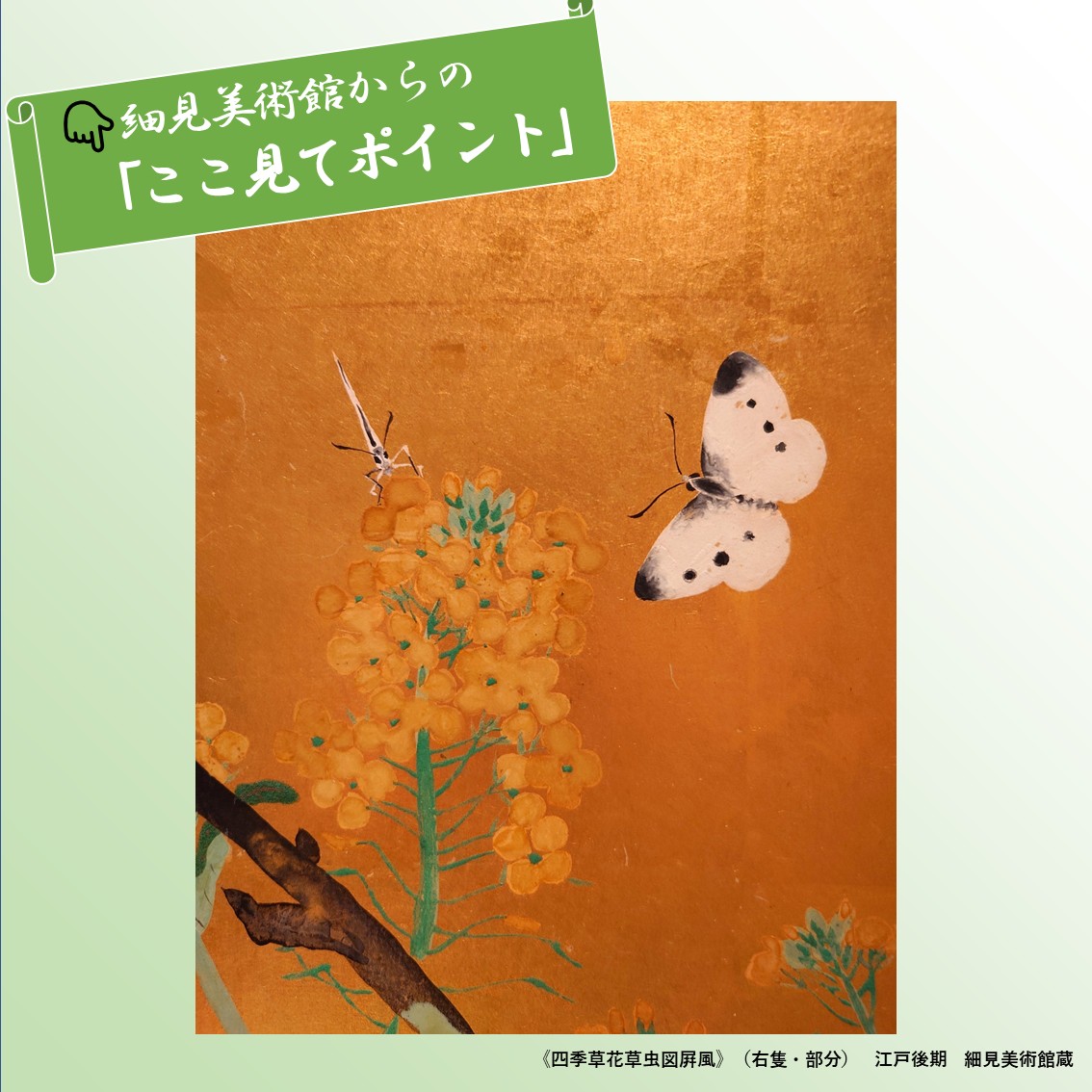 K-08/伊万里色絵花蝶虫籠図向付5客 K-08/伊万里色絵花蝶虫籠図向付5客