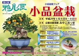 ◆終了◆　小品盆栽フェア第42回「雅風展」
