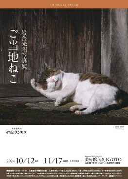 岩合光昭写真展　ご当地ねこ