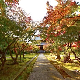 「西陣 興聖寺（織部寺） 秋の特別公開」