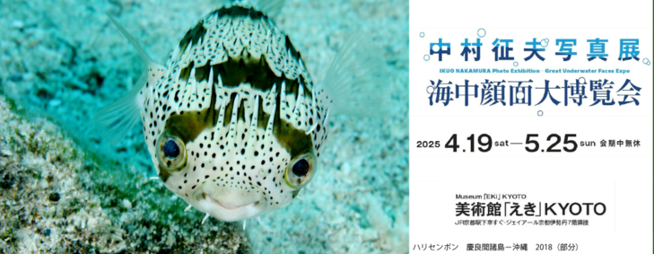中村征夫写真展　海中顔面大博覧会