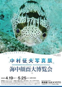 中村征夫写真展　海中顔面大博覧会