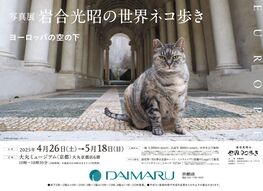 写真展「岩合光昭の世界ネコ歩き　ヨーロッパの空の下」