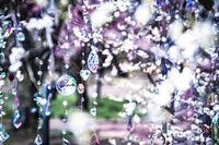 KYOTO NIPPON FESTIVAL 2026-時をこえ、華ひらく庭-