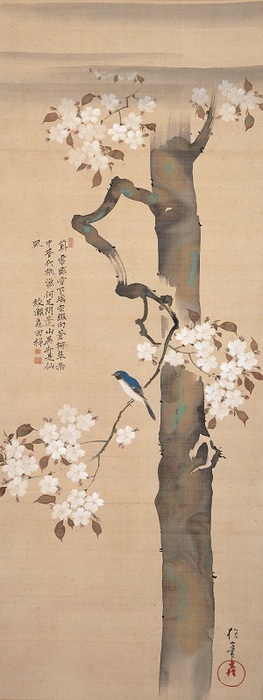 ◆終了◆　開館20周年記念展Ⅱ　細見コレクションの江戸絵画　琳派展20　抱一の花・其一の鳥