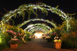 ◆終了◆　ガーデンミュージアム比叡　ナイター特別企画「光の庭園」