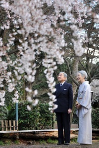 ◆終了◆ パネル展「京都と皇室の軌跡 ~平成から令和へ~」