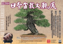 ◆終了◆ 第39回 日本盆栽大観展