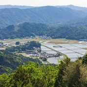 よみがえる紫香楽宮~開幕しました!