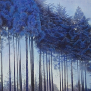 出品作家作品展｜伴鈴子展  ―朝を呼ぶ―