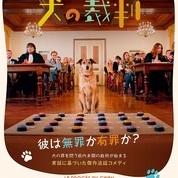 【ことしるべおでかけクラブ　スタッフおススメスポットvol. 155】京都シネマSTAFFの今月のオススメ「犬の裁判」