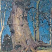 担当学芸員　おススメの作品　その２「木の幹」