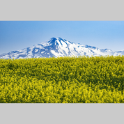 京都・滋賀で開催 注目展覧会【Vol.2】