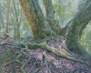 「改組 新 第4回日展京都展」作品紹介 Vol.9