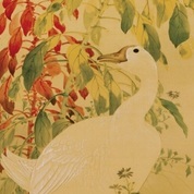 明治150年展の“ココ”に注目＜鳥－Bird－＞