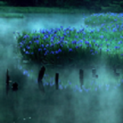 「第103回 二科展」 作品紹介 vol.5